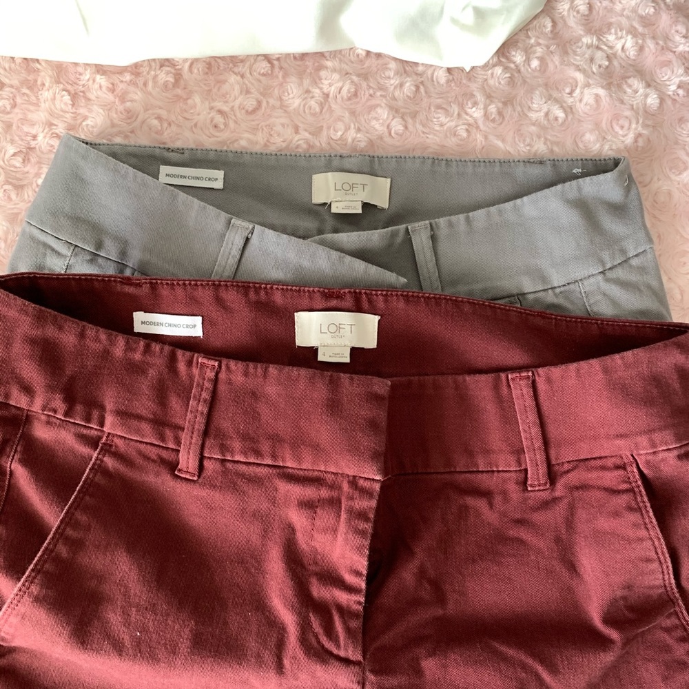 Loft Modern Chino Crops - Size 4